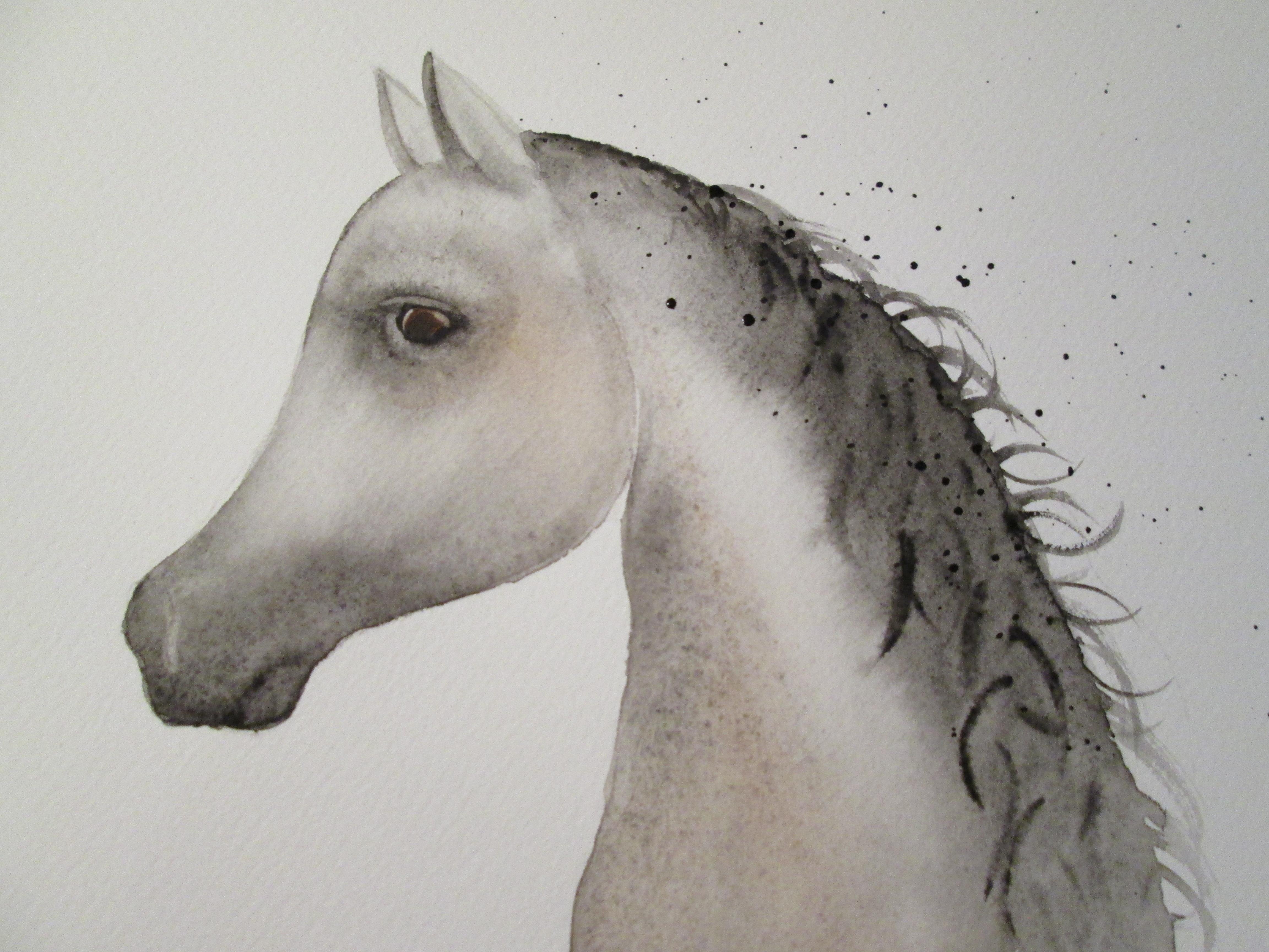 Arabian Horse in Watercolour - student project