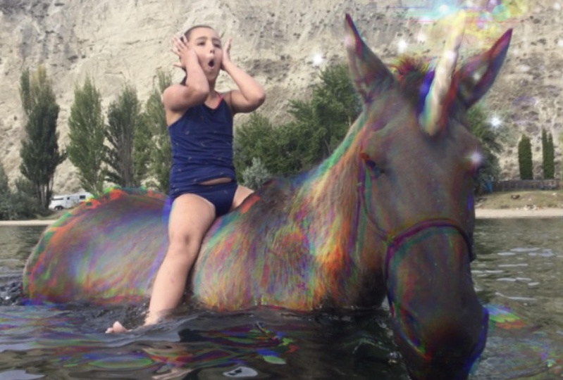 Suddenly a Unicorn