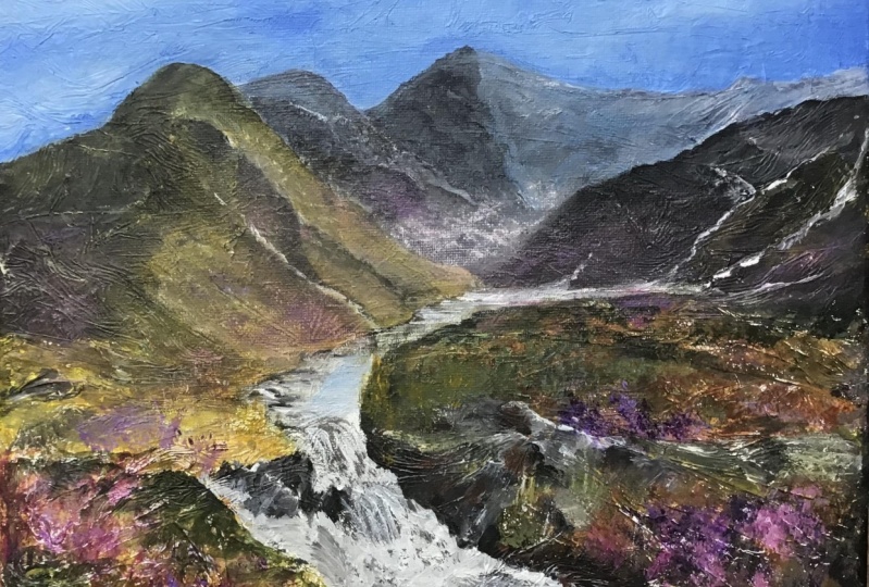 Heather on the fells