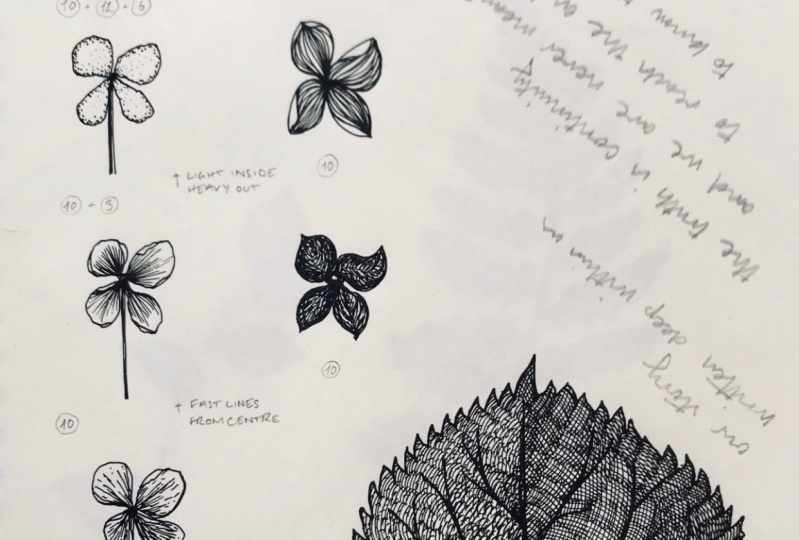 Ink botanical illustration: texture and shading
