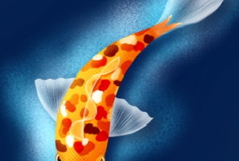 KOI