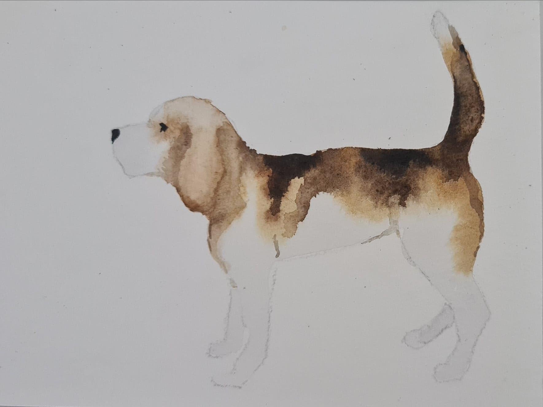 Beagle - student project