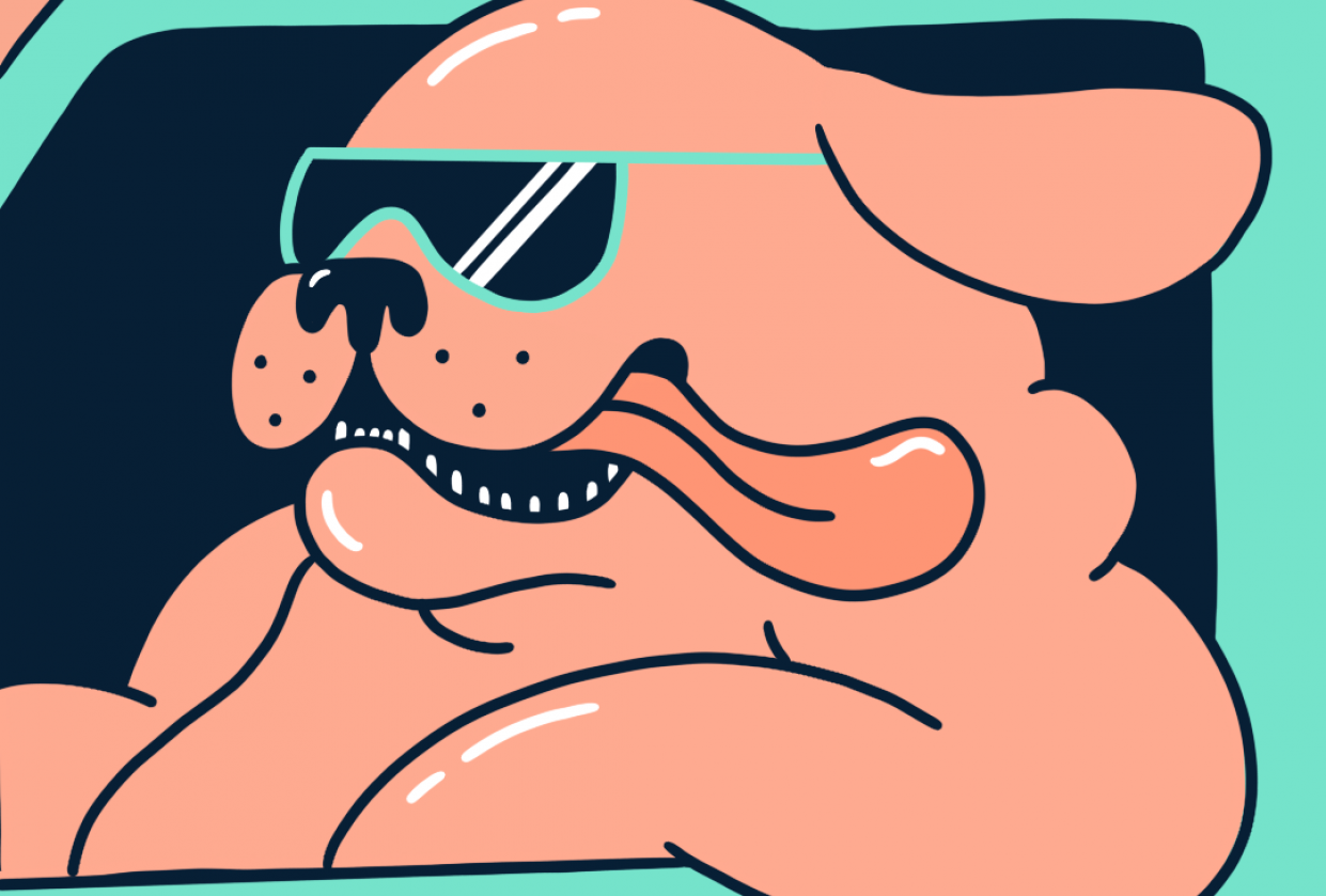 Drivin' Dawg - student project