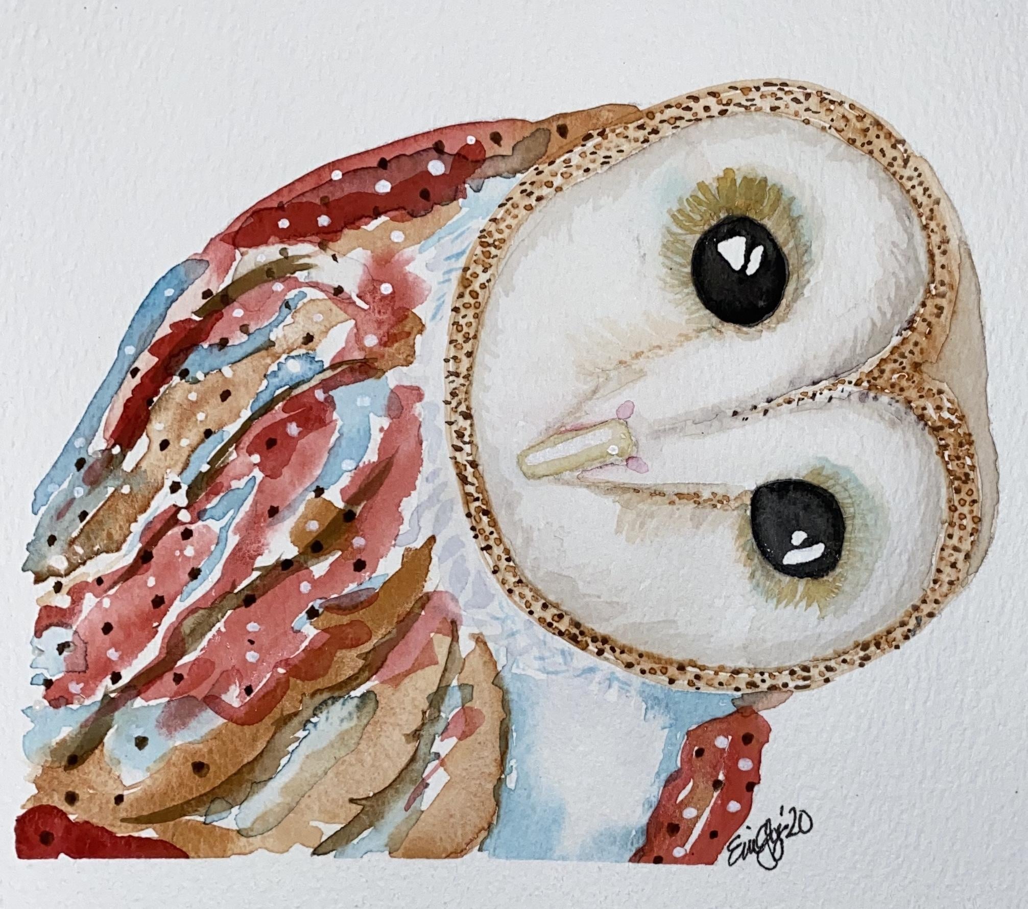 Barn Owl - student project