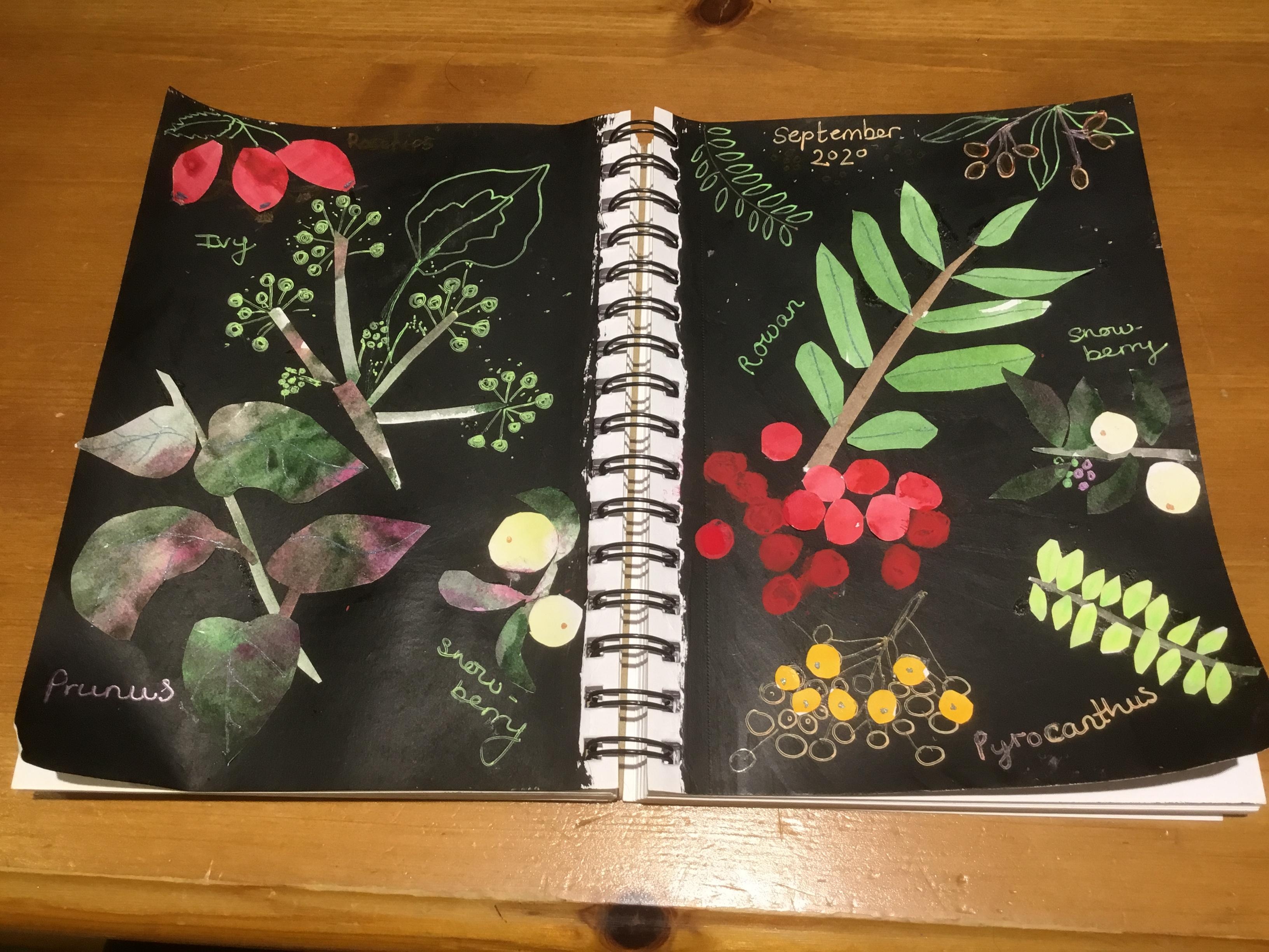 more-projects-from-class-img