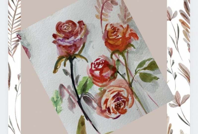 my hurried roses early morning