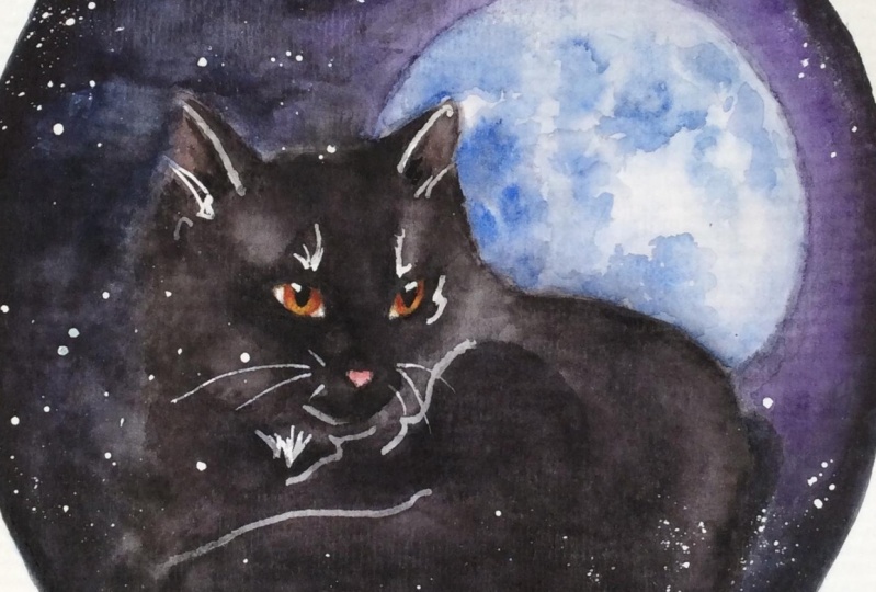 black cat & blue moon