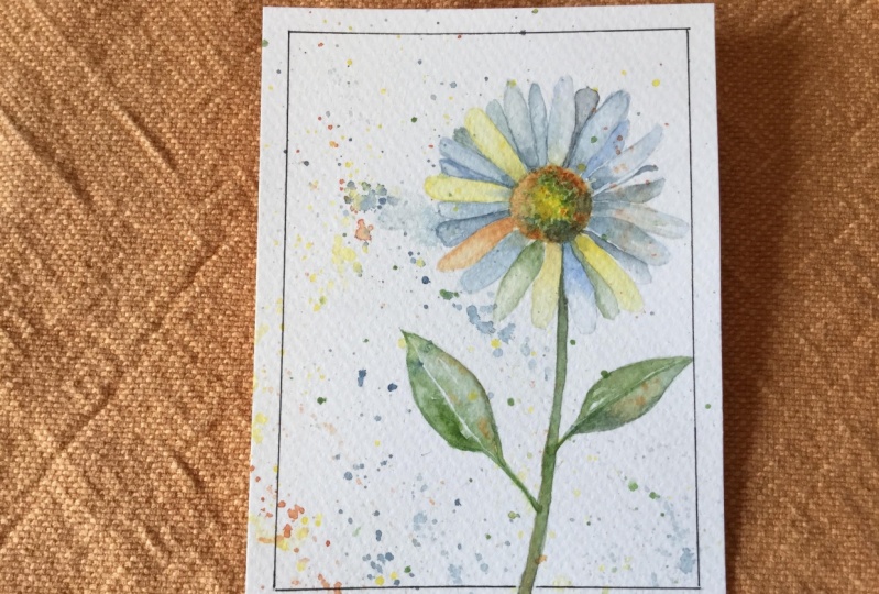 Daisy