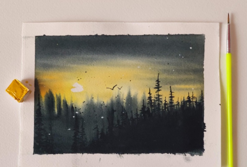 Soft Skies