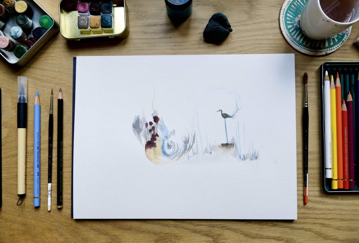 [SAMPLE PROJECT] The freedom of birds - student project