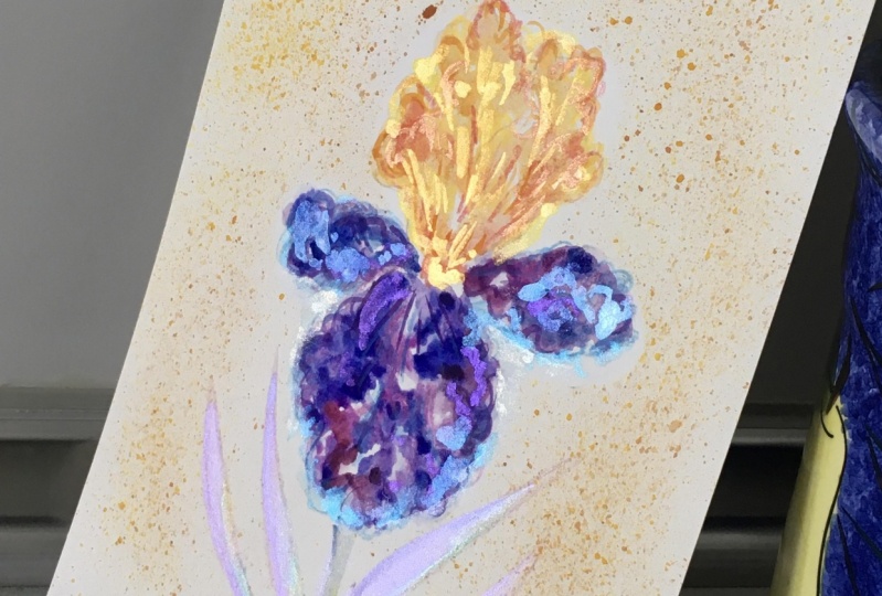 Shimmering Iris