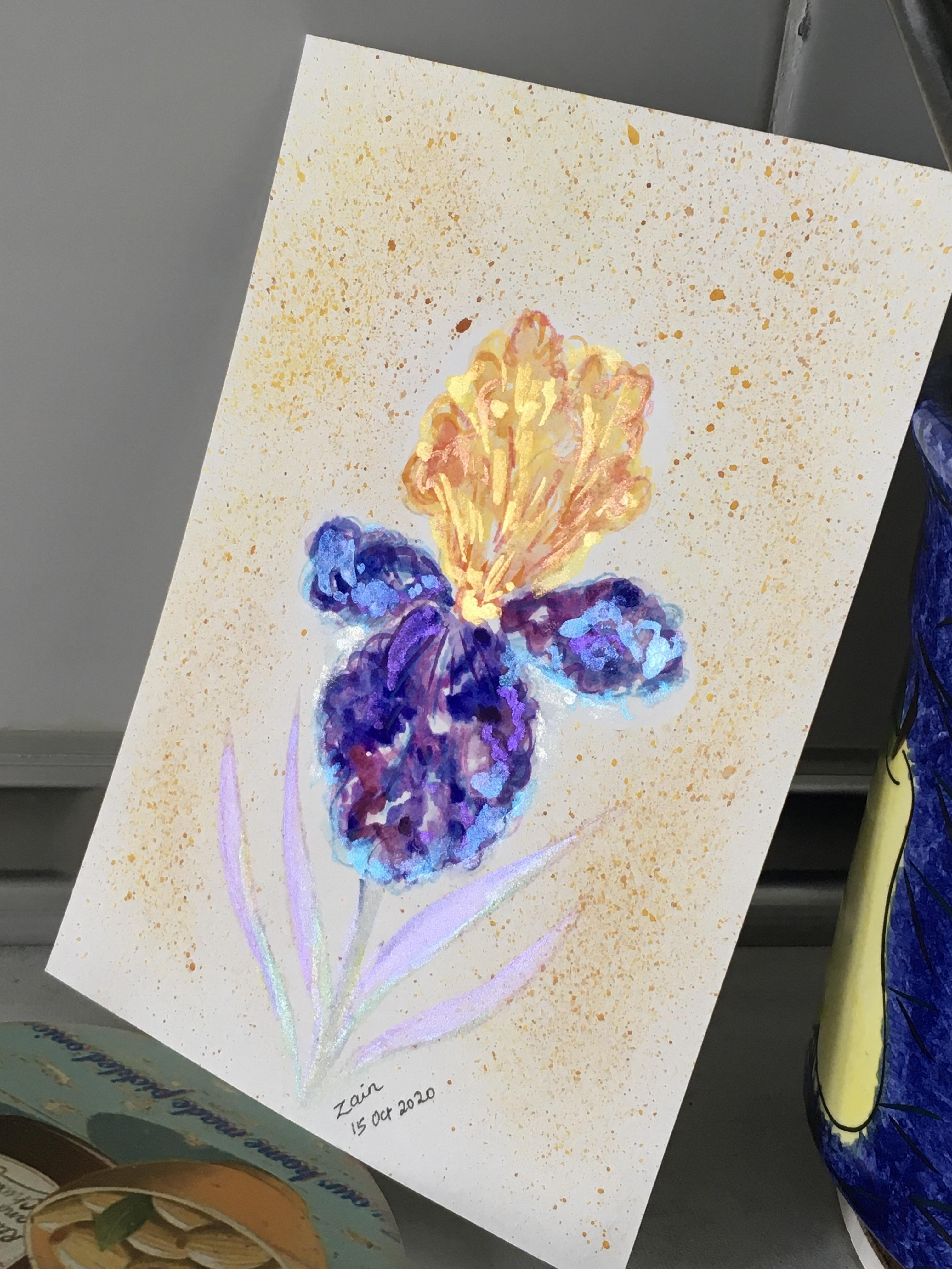 more-projects-from-class-img