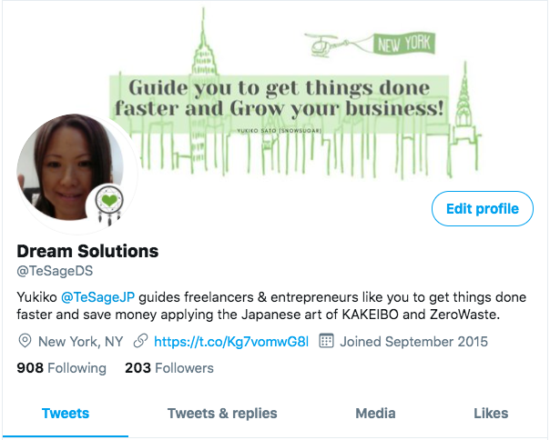 TeSage Dream Solutions - Twitter Profile - student project