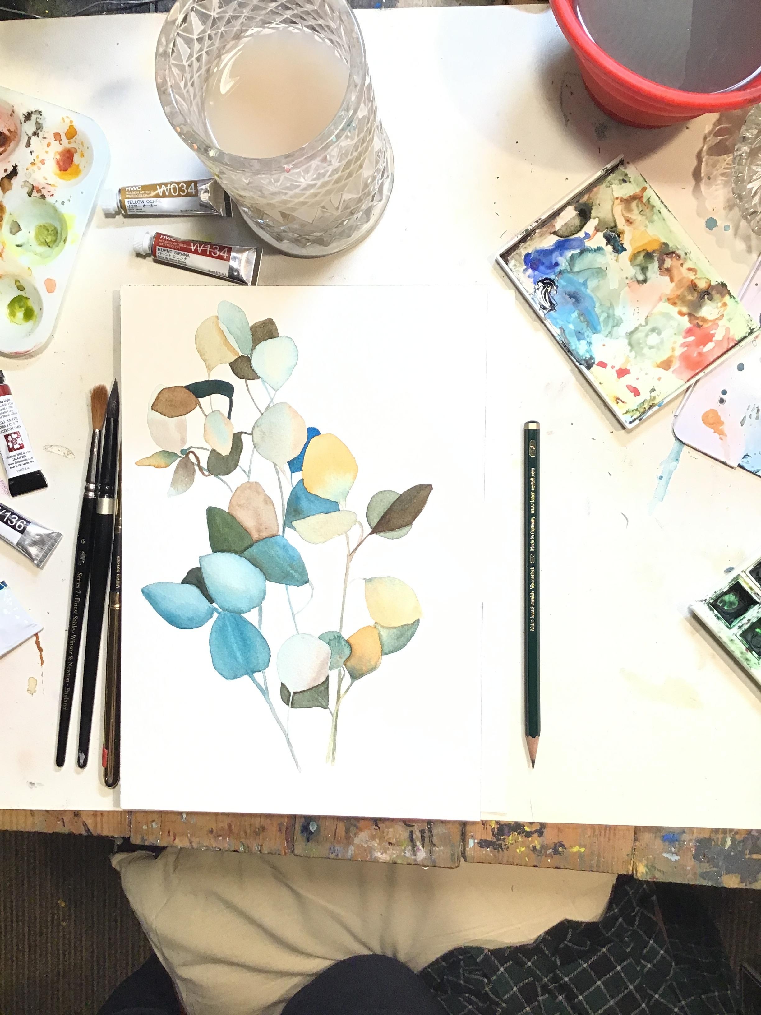 Eucalyptus Branches - student project