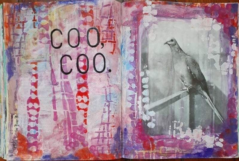 coo coo