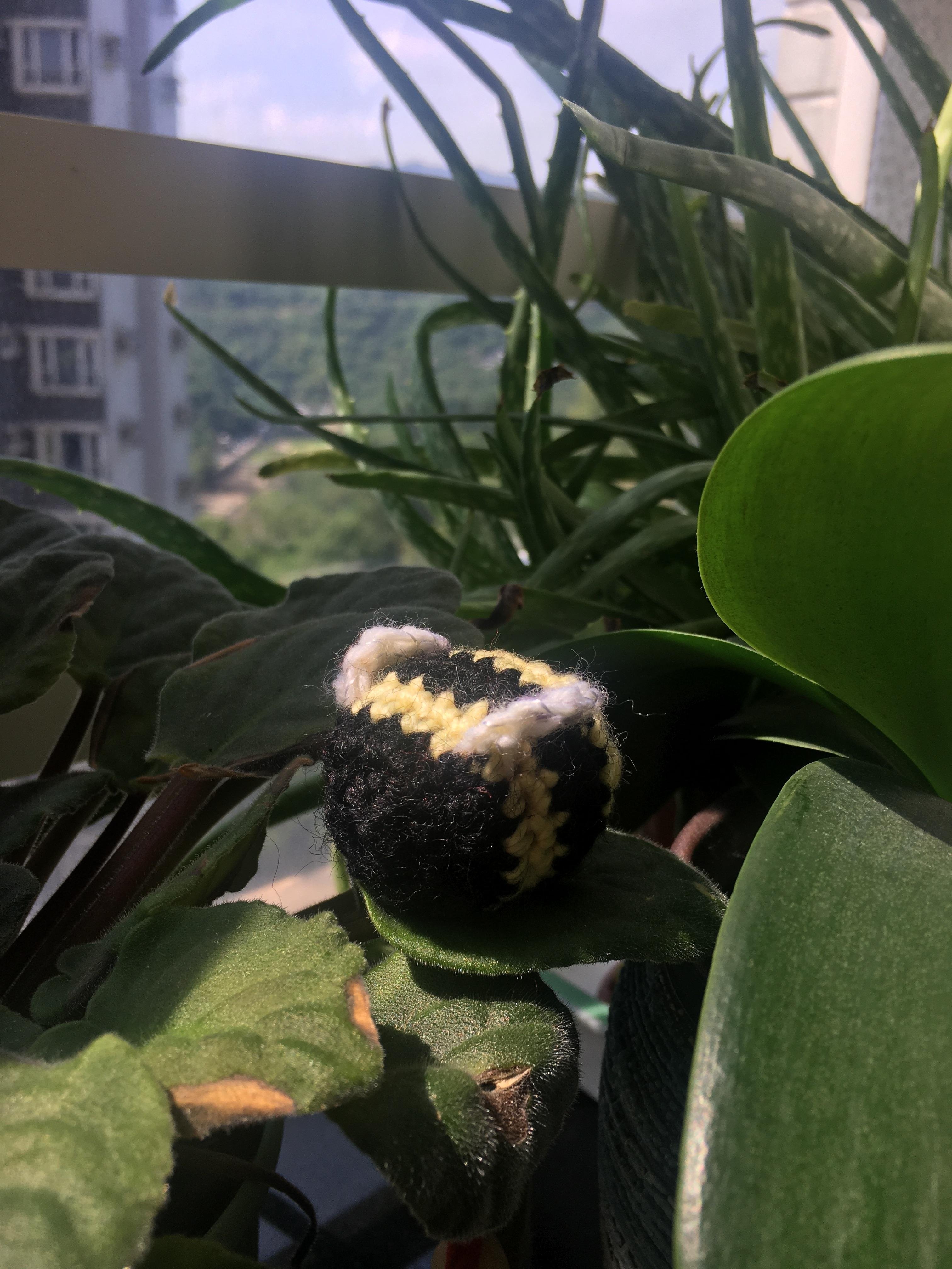 Bee ! - student project