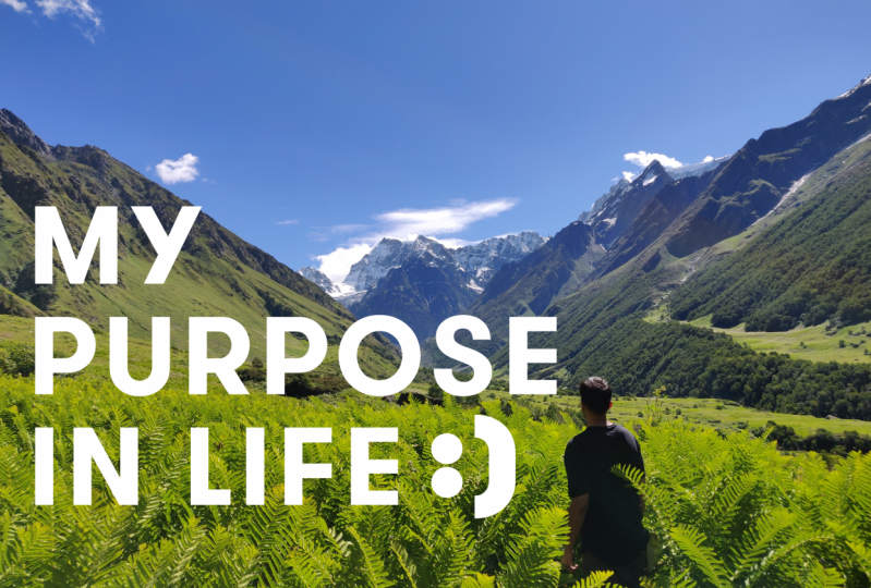 What is my purpose?