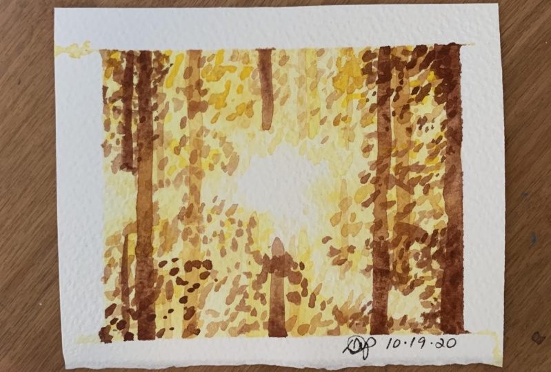 Autumn Sunset in the Forest