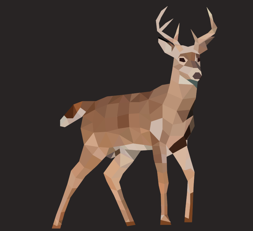more-projects-from-class-img