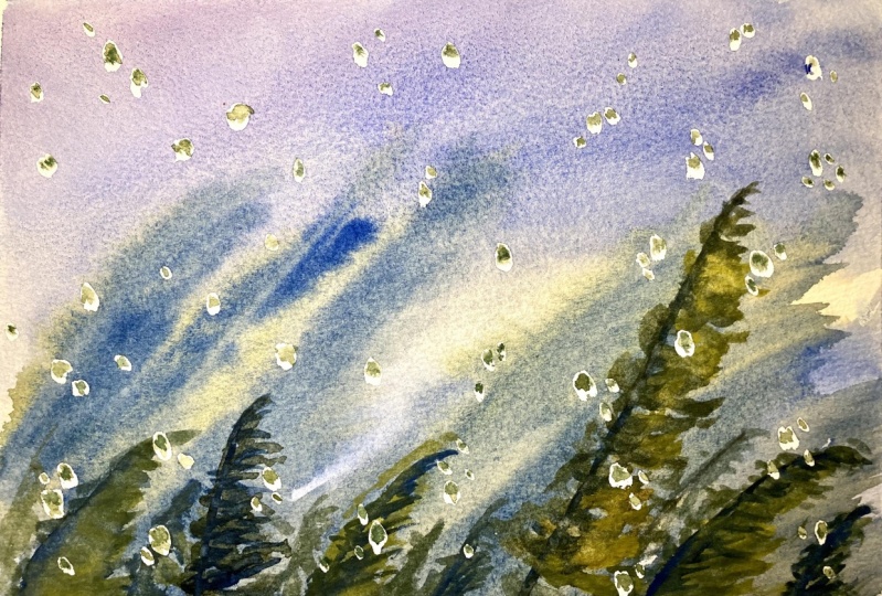 Stormy trees