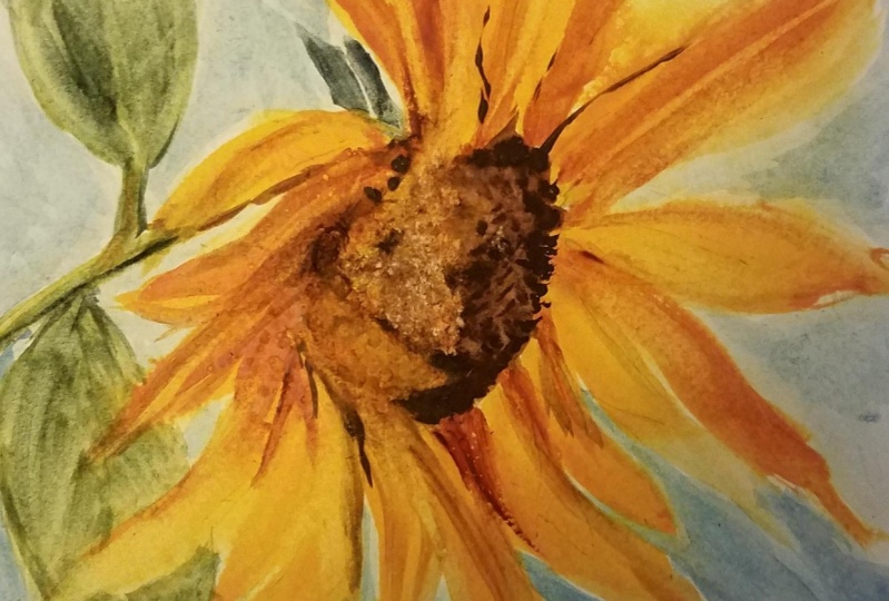 sunflow