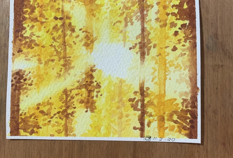 Sun through autumn trees