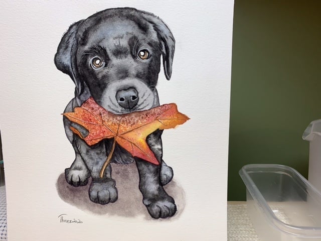 Black Lab Puppy - student project