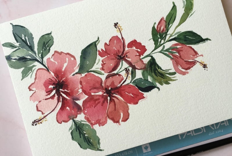 Hibiscus