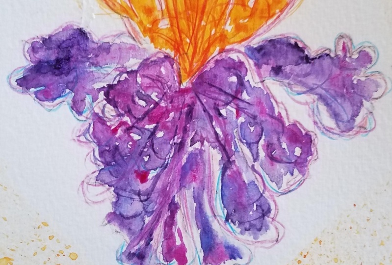 iris
