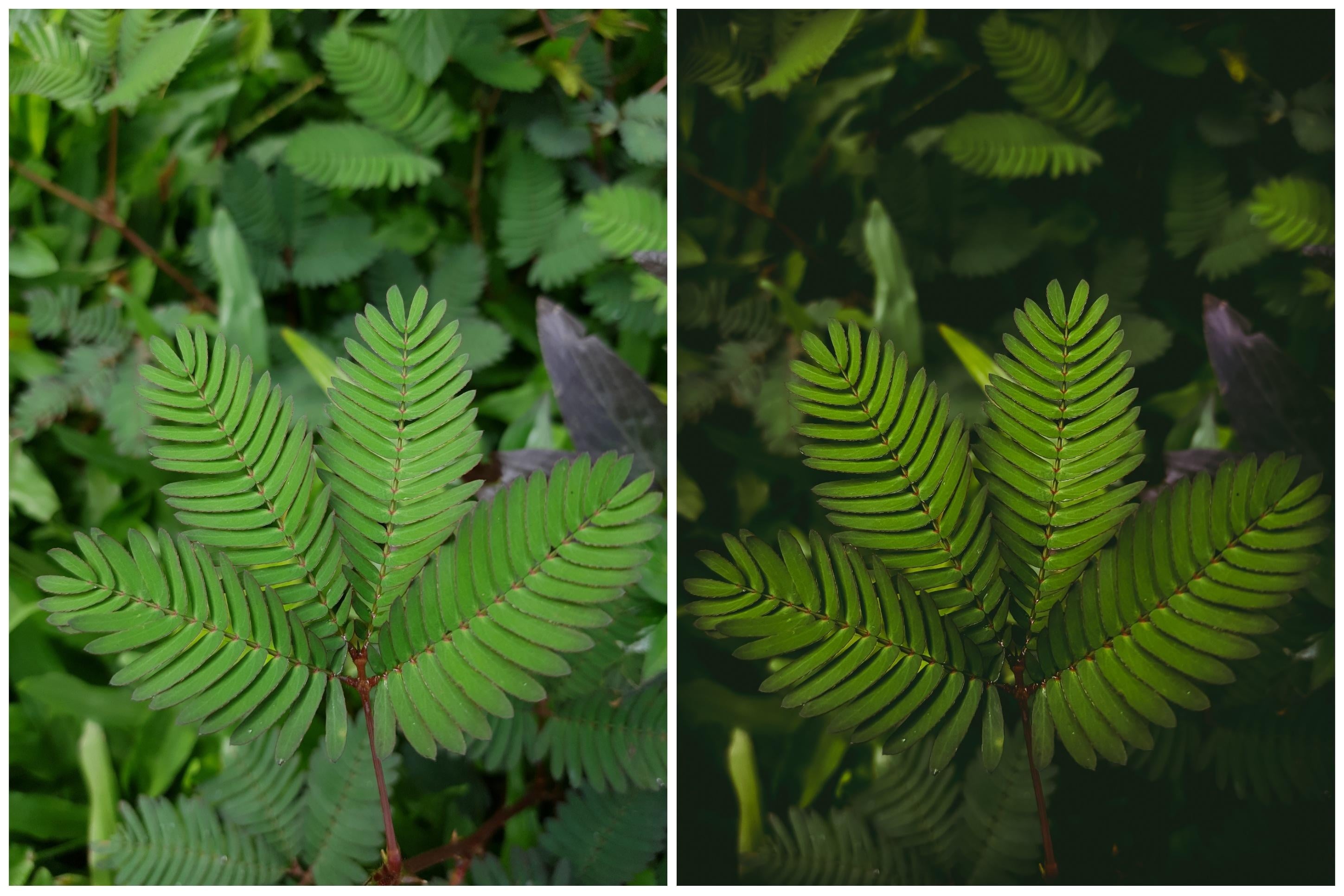 Light Room Edit | Before & After - student project