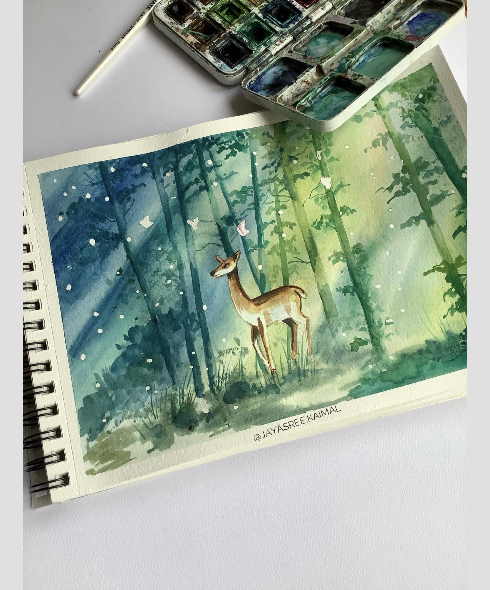Misty Forest - student project