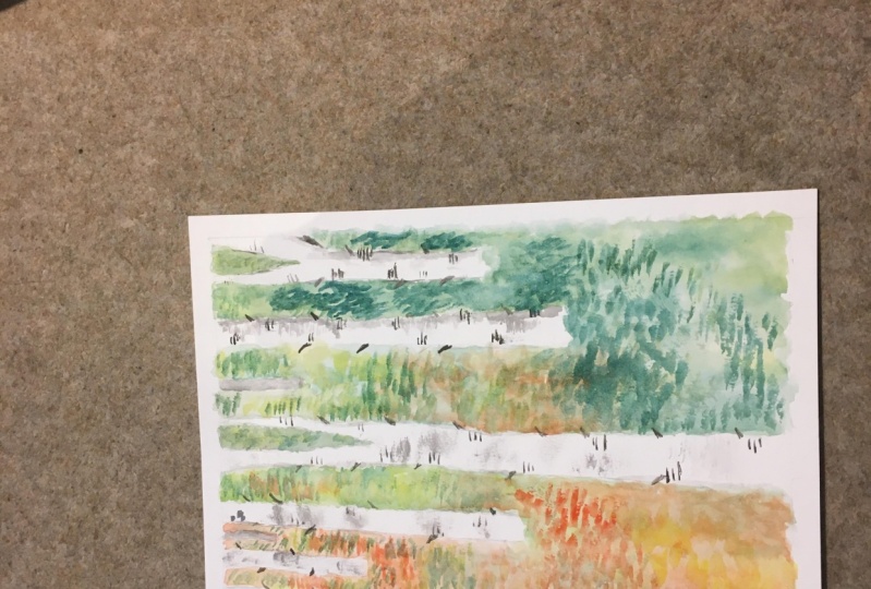 Birch  tree project
