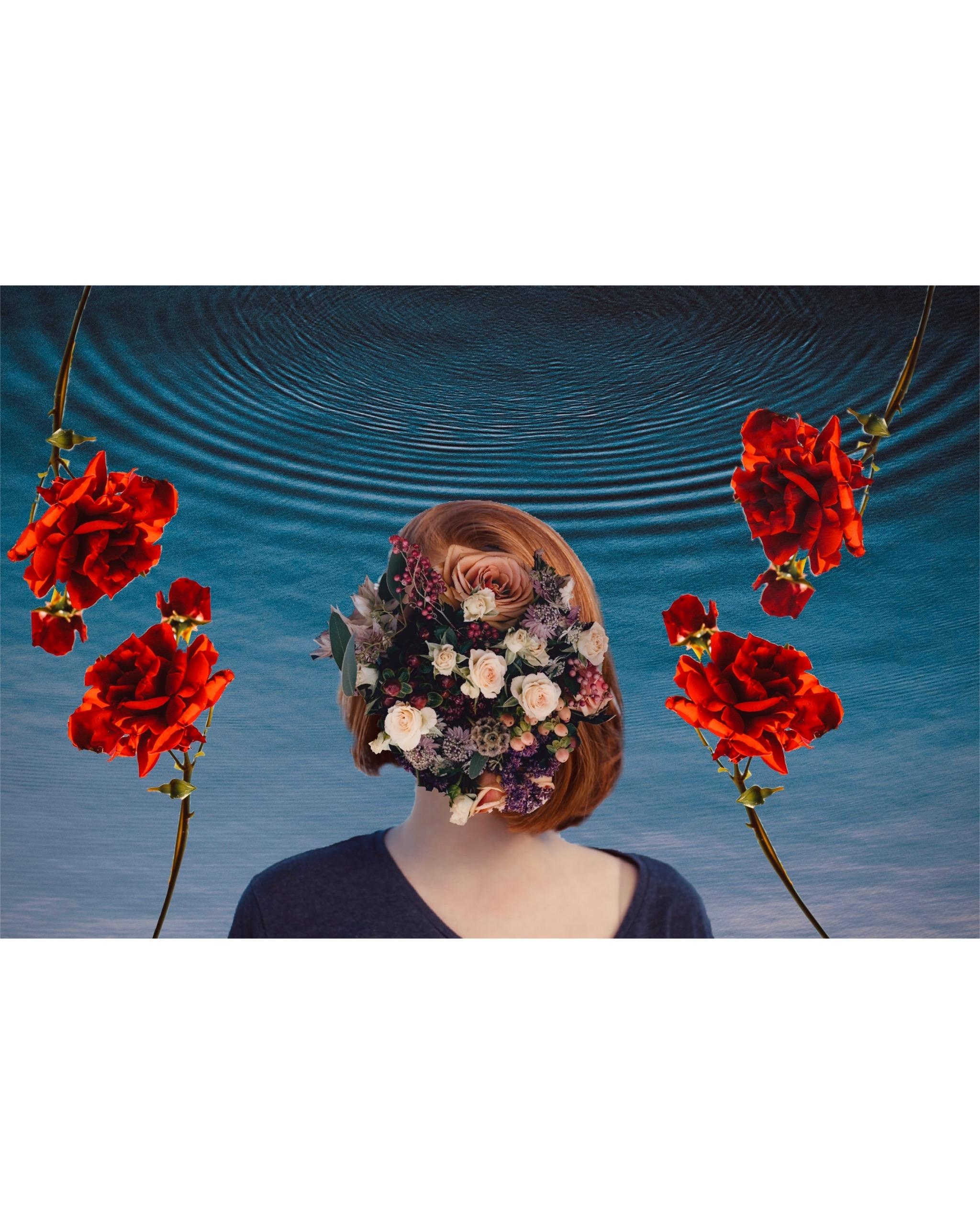 Wild roses - student project