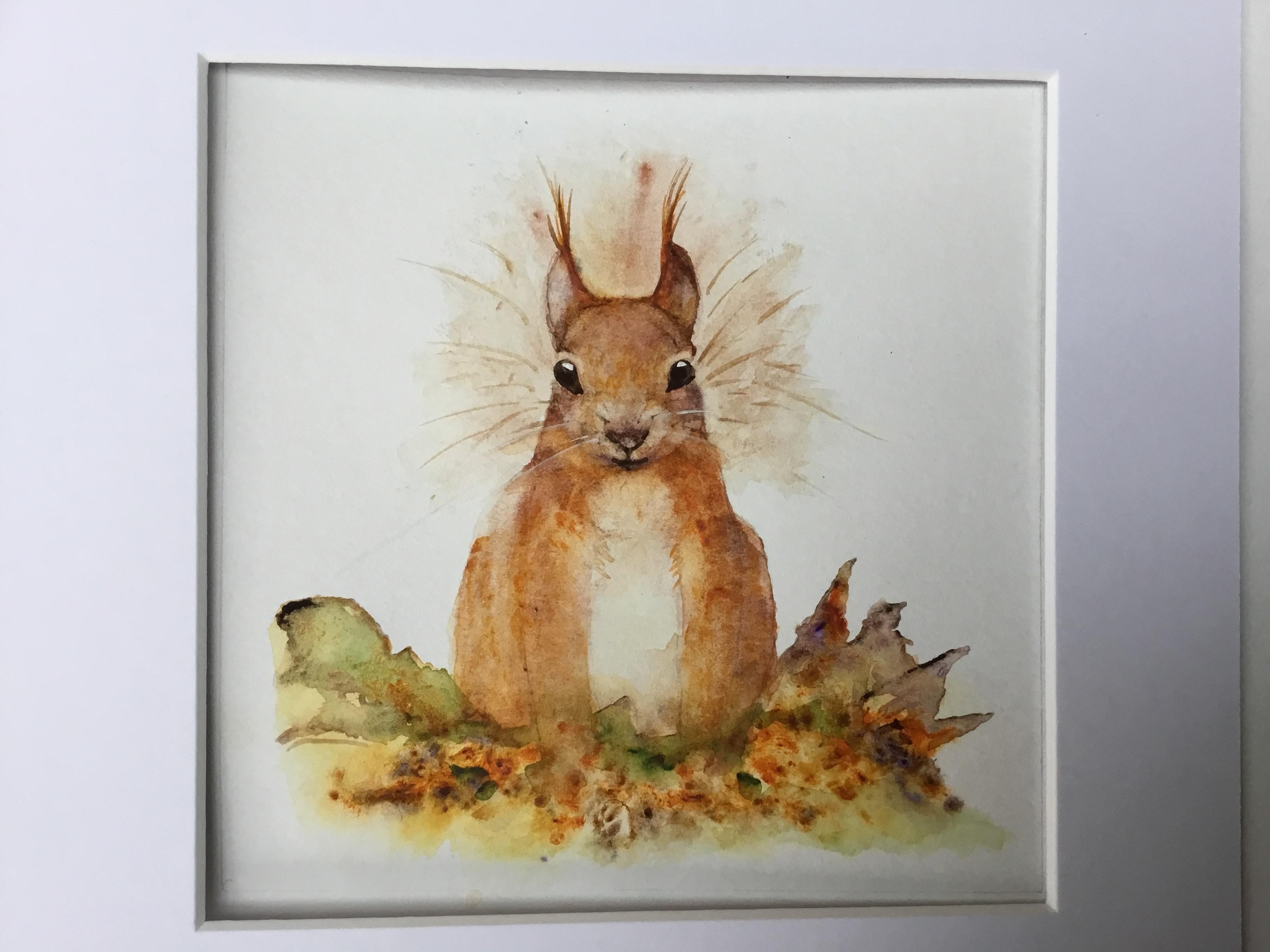 Sidney the Red Squirrel - student project