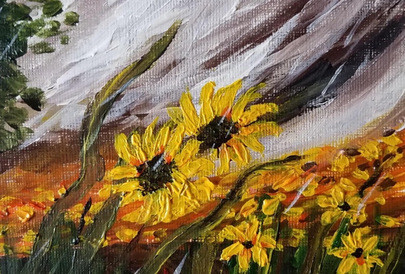 sunmonsoon