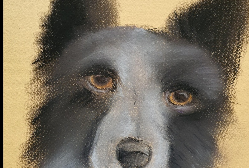 Soft Pastel Dog