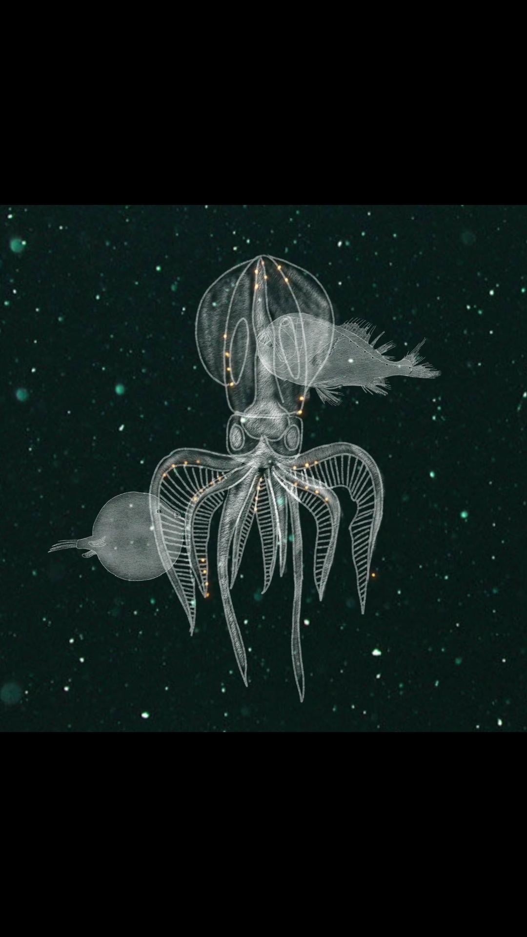 Deep sea and other things - student project