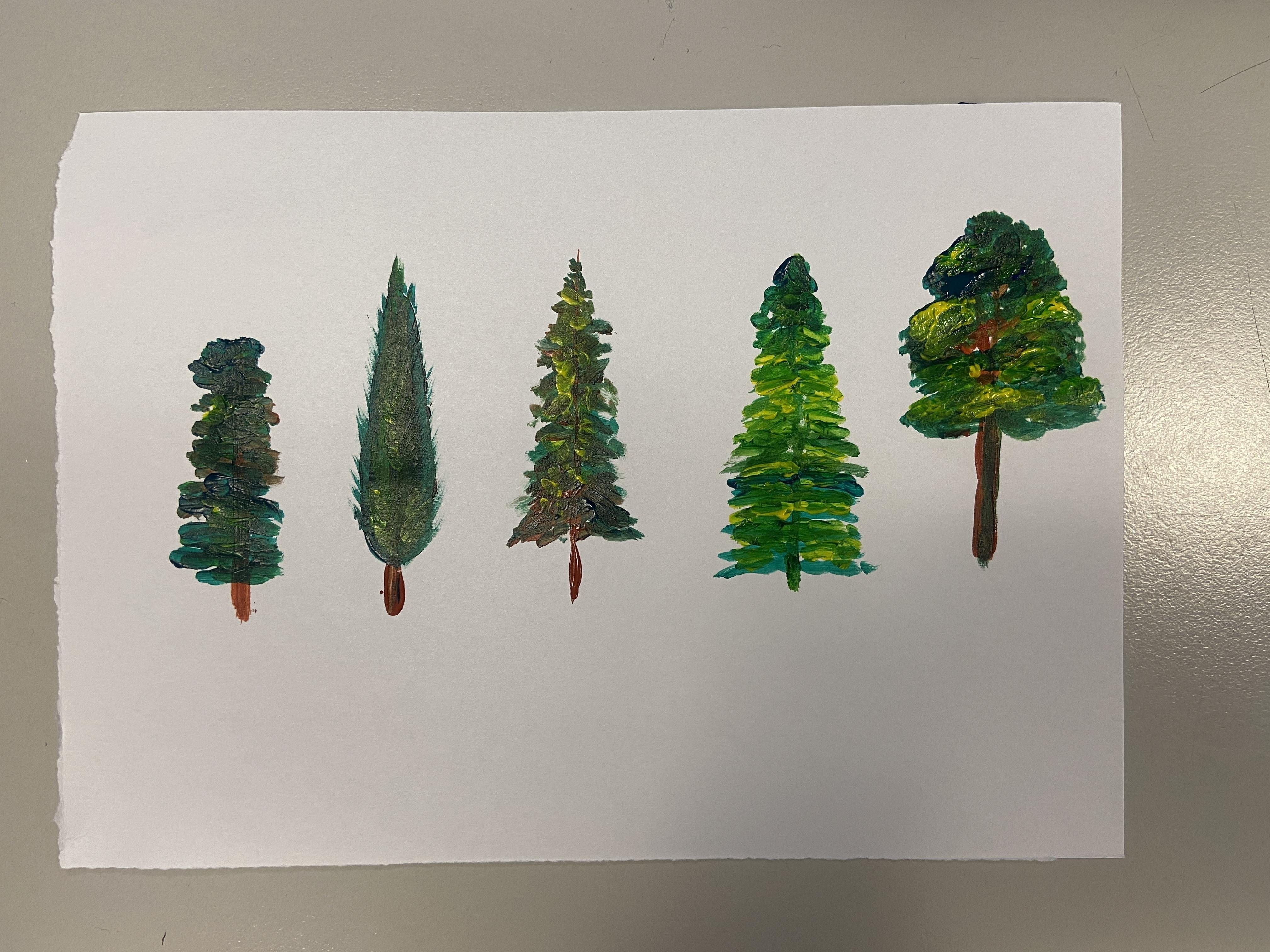 Different trees - student project