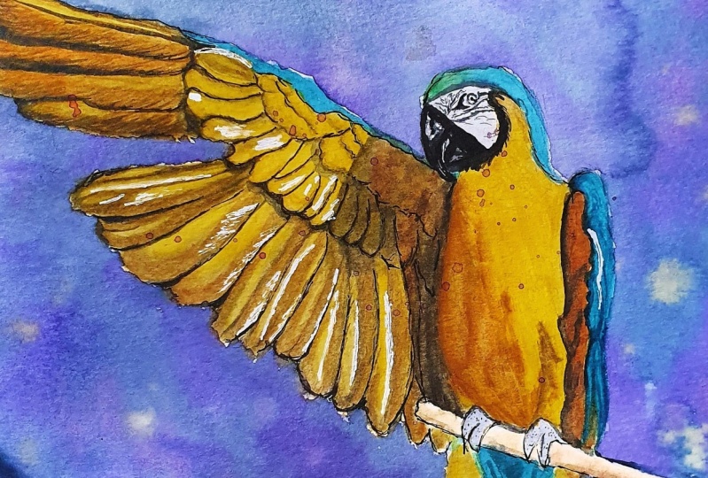 Vibrant Birds