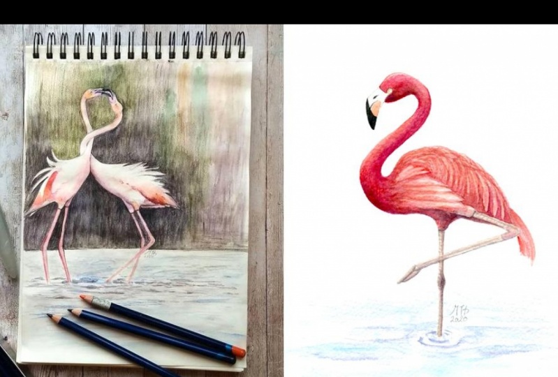 Project Flamingo