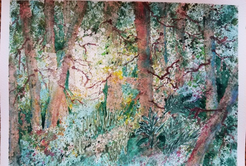 forest