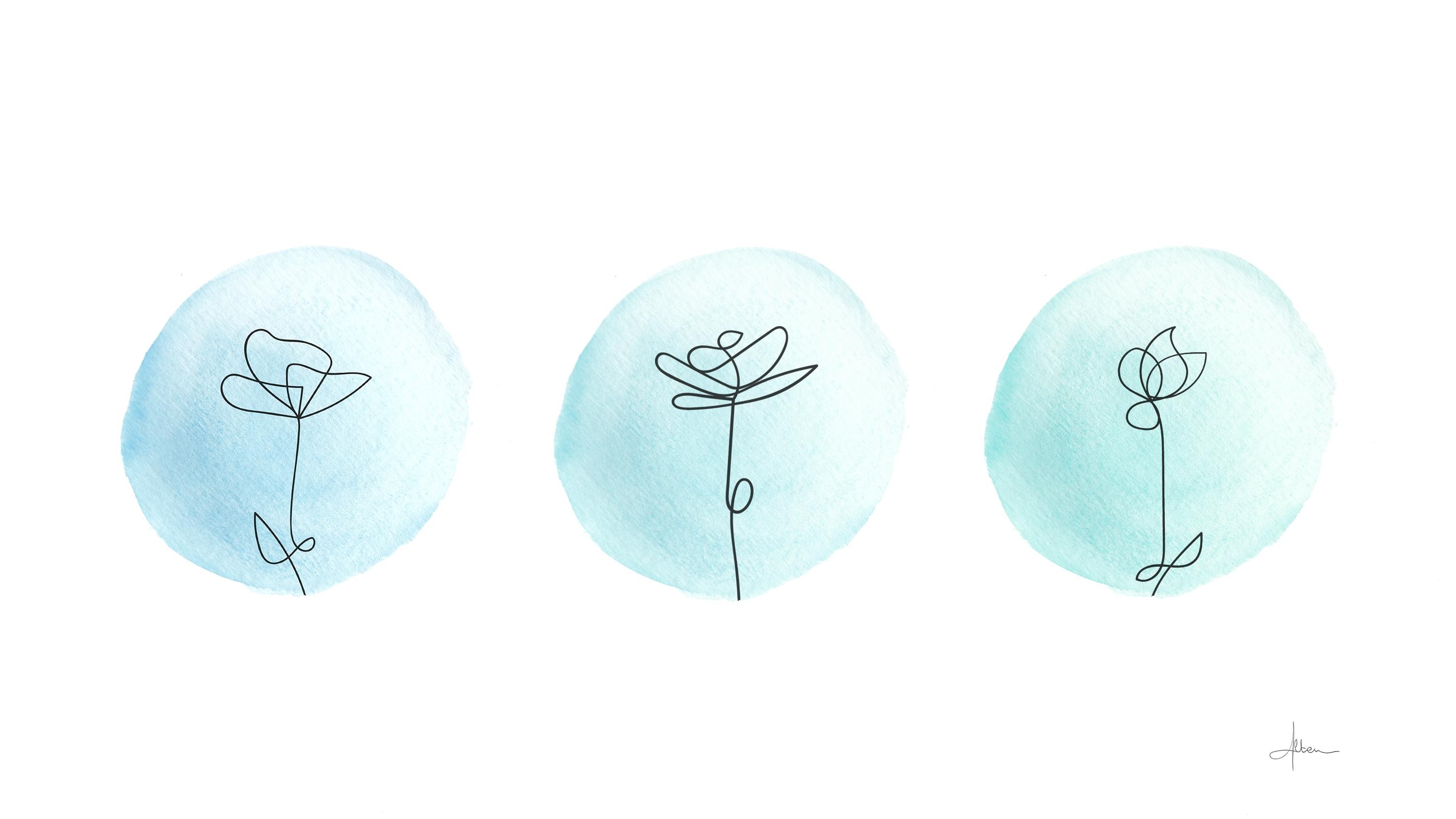 Flowers - student project