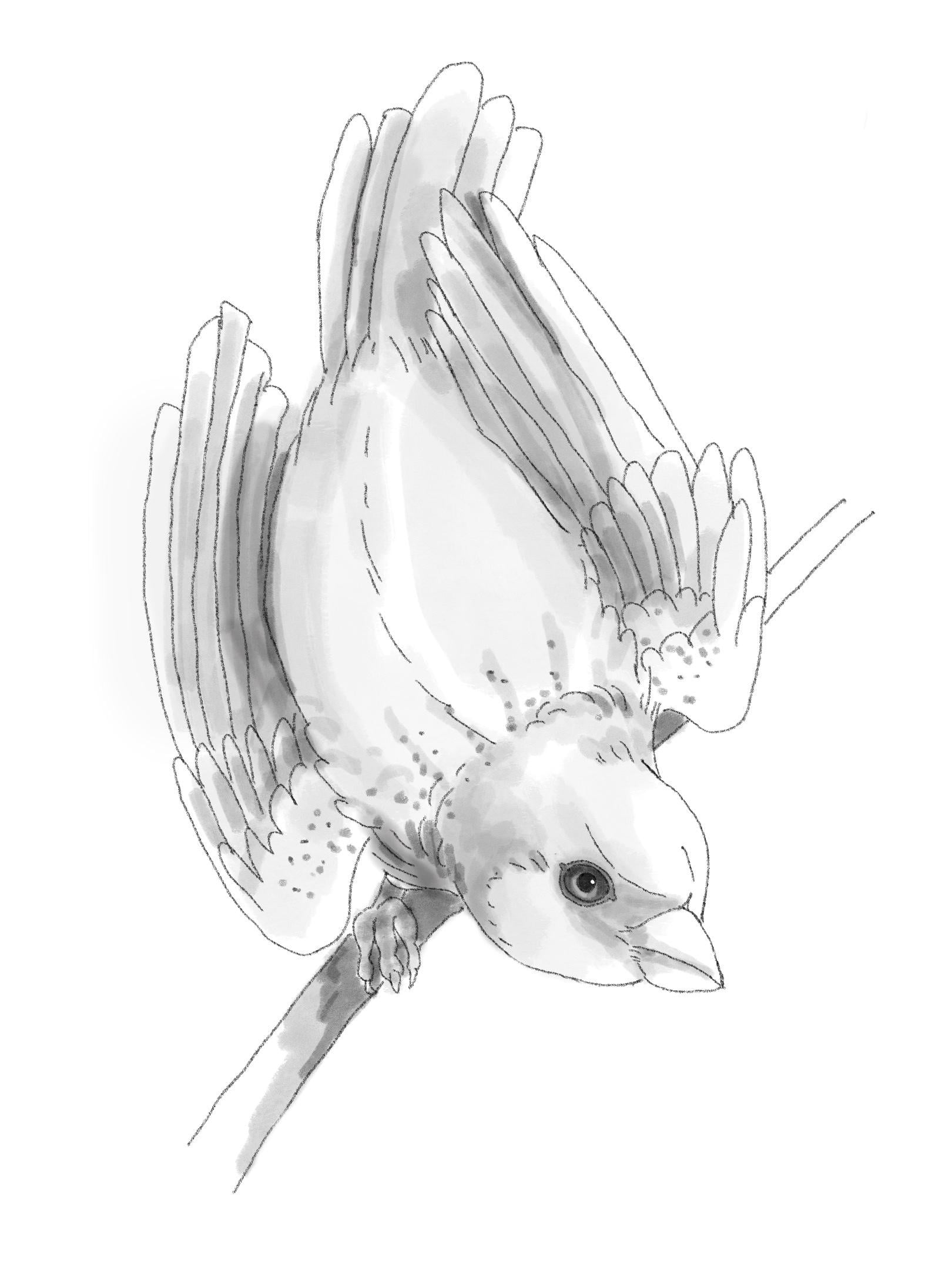 more-projects-from-class-img