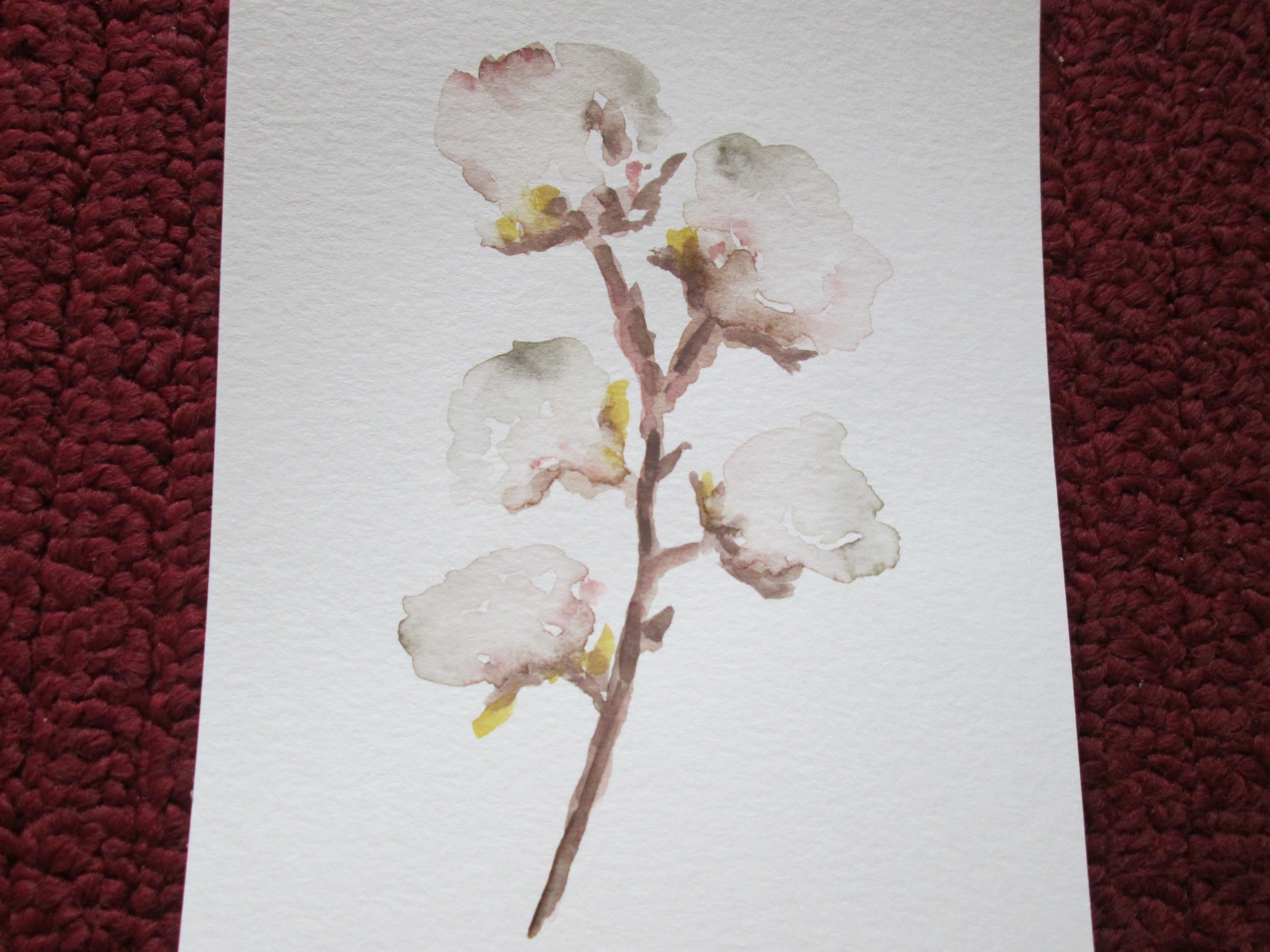 Watercolor Cotton - student project