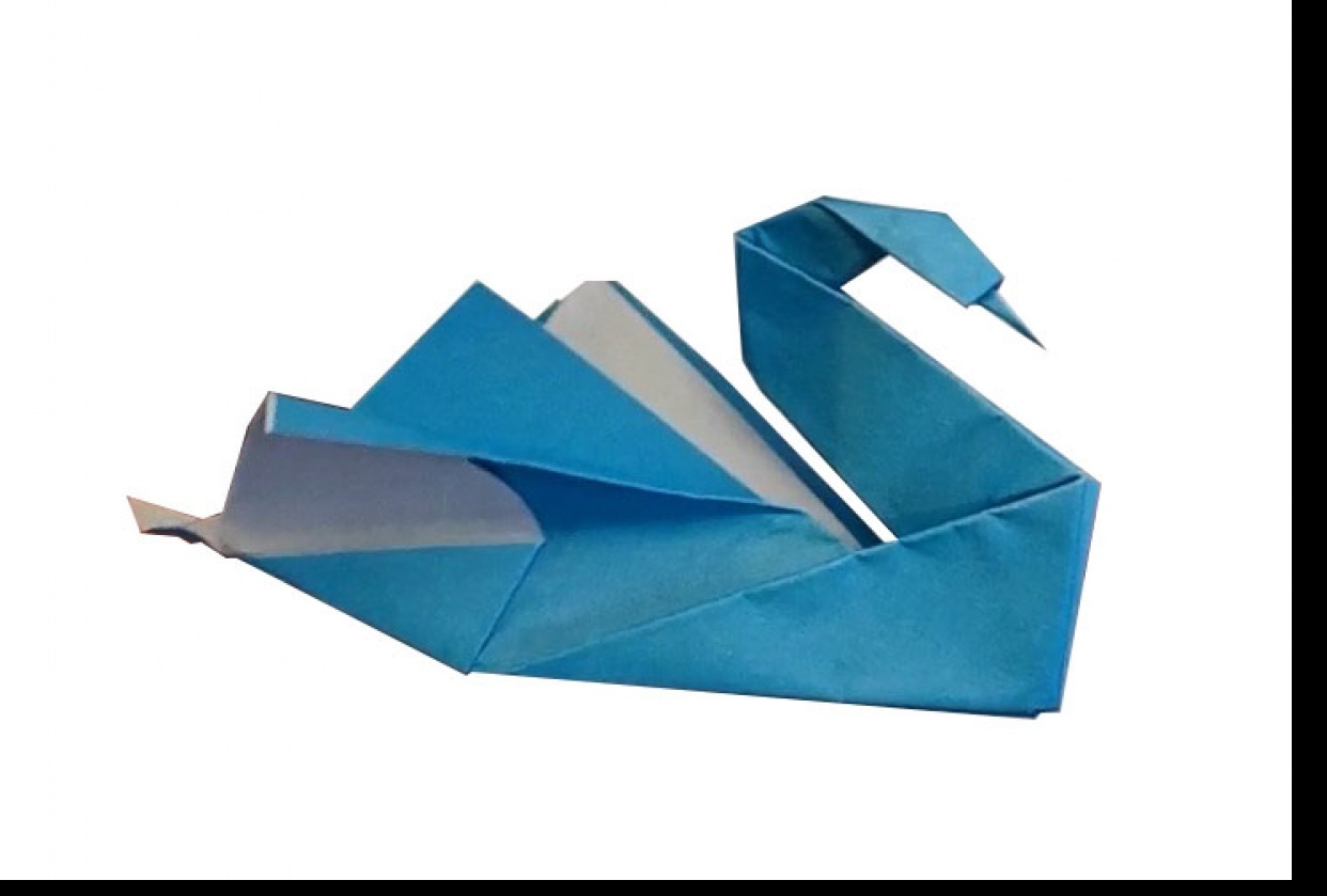 Origami Swan Skillshare Student Project
