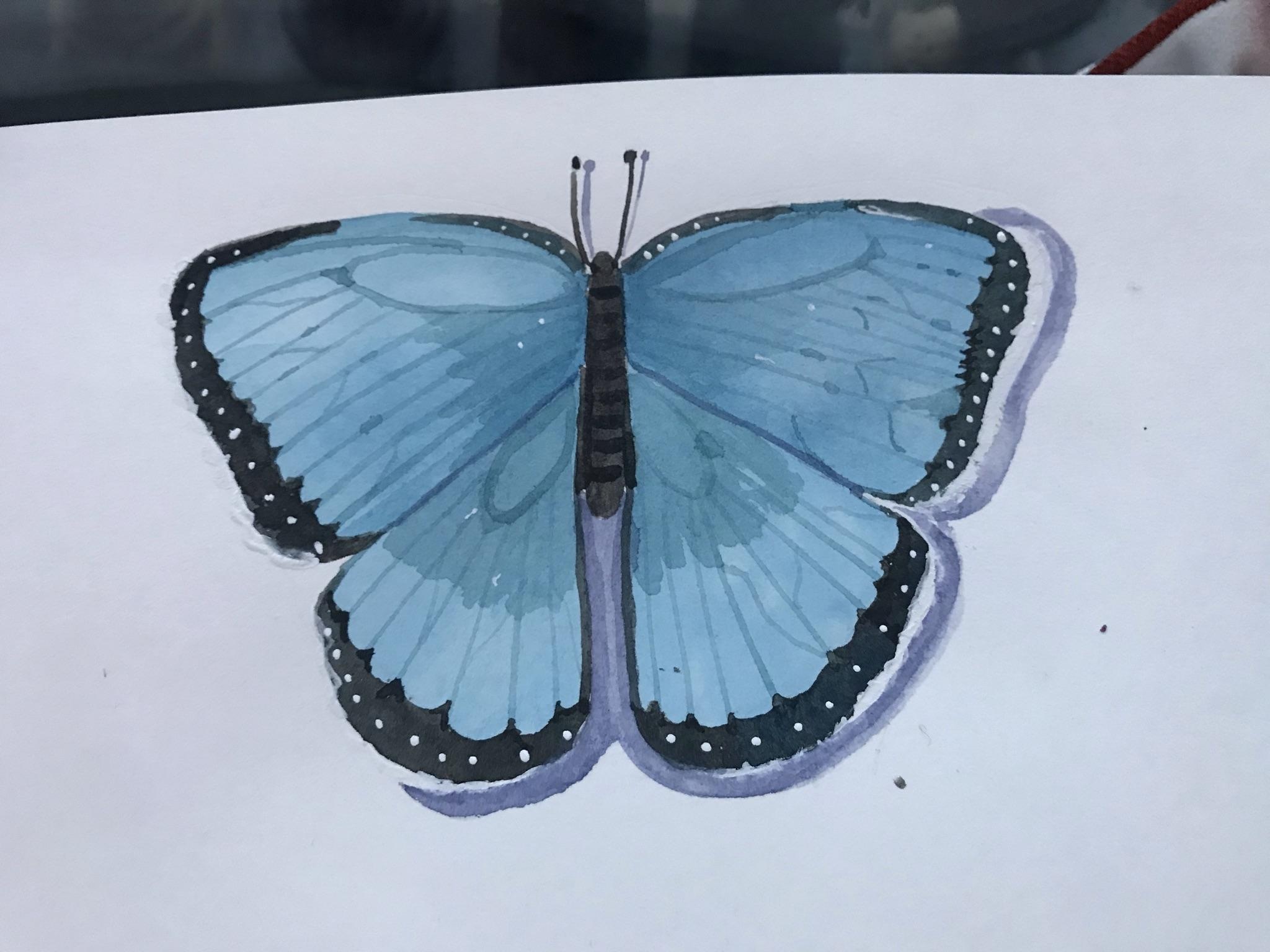 more-projects-from-class-img