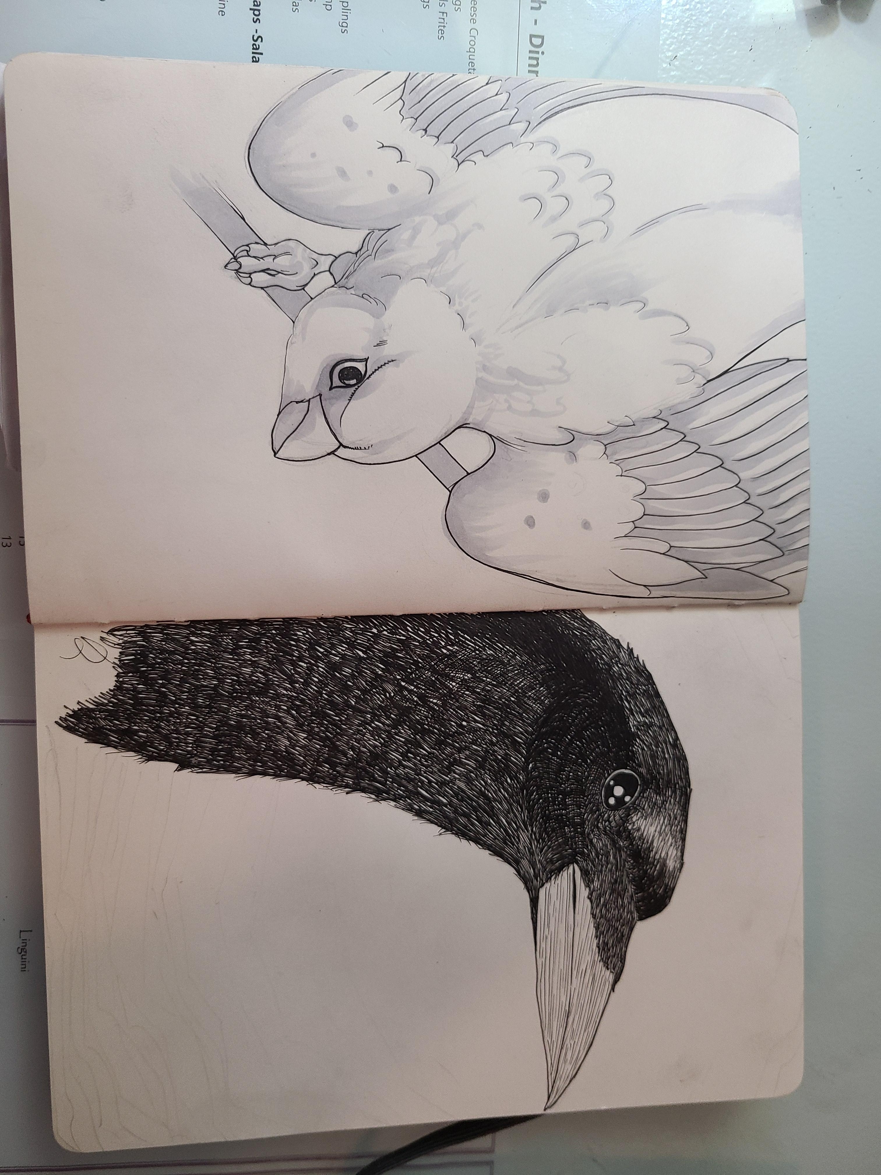 more-projects-from-class-img