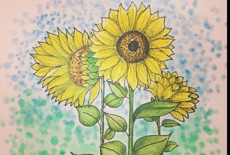 Fun with Sunflowers