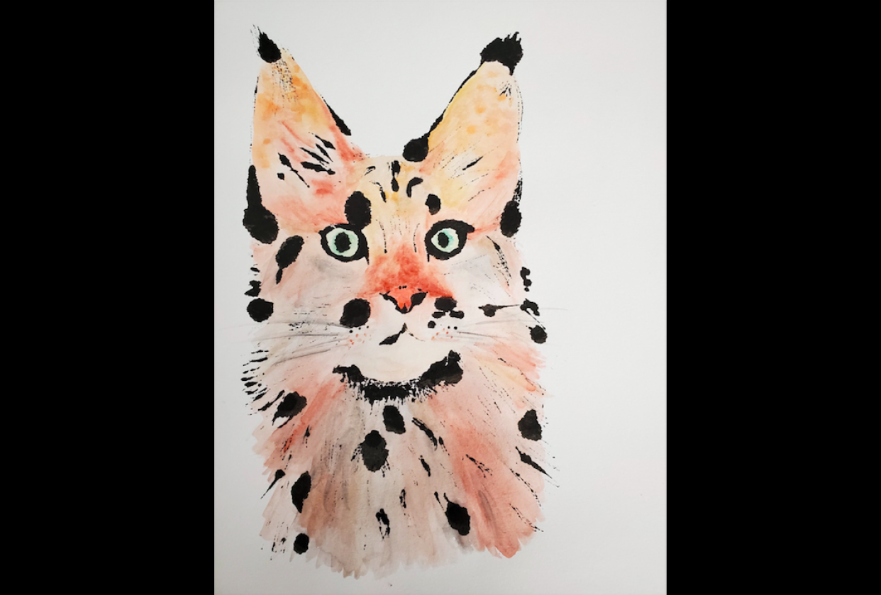 Why draw a flower when you can draw a cat? - student project