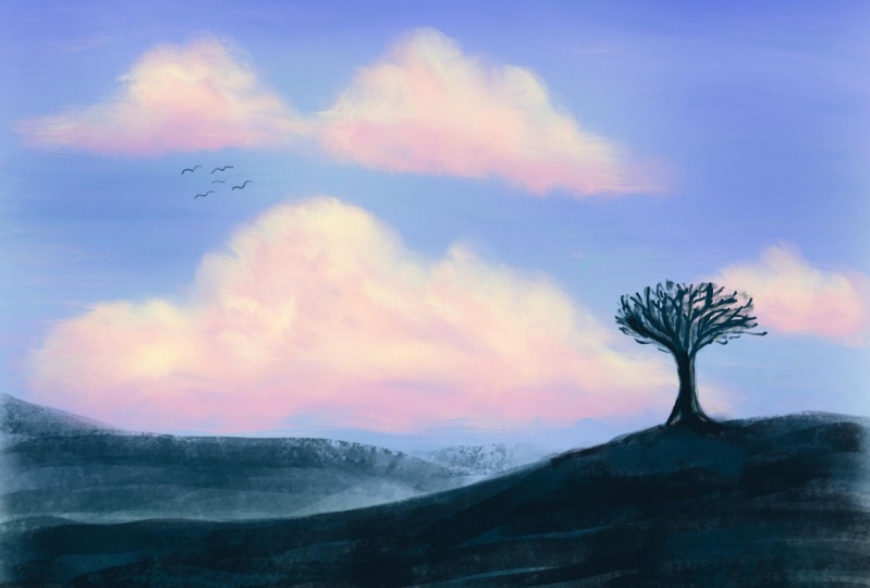 Clouds and Tree in Silhouette